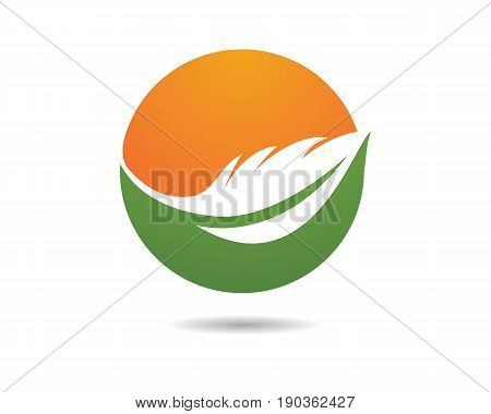 08I0117