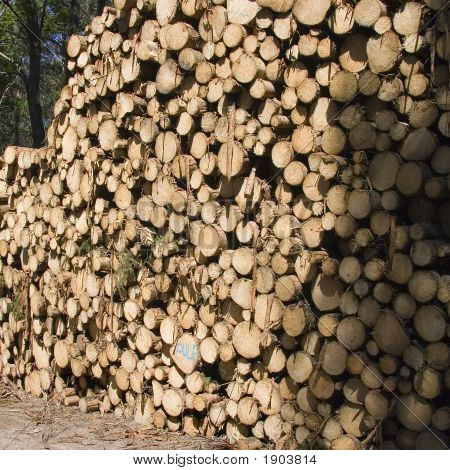 Big Stack O F Logs