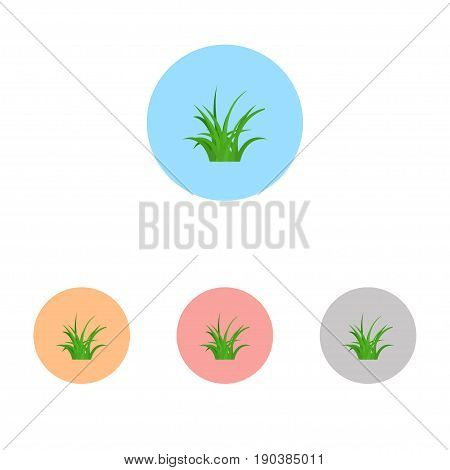 Set of grass icon on a colorful circles