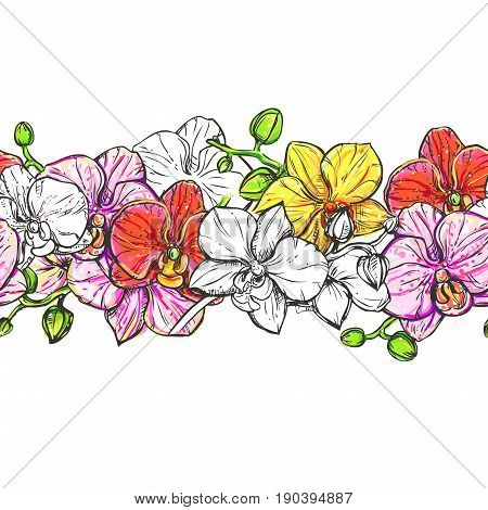 flowers seamless pattern of color and monochrome orchid. hand drawn illustration on white background. sketch. vector eps 8