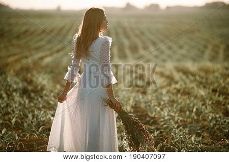 Young woman in long white lace dress on cornfield. She stands with bouquet of wild flowers in her hands. Back view.