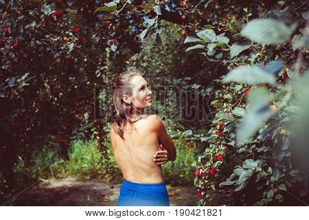 young girl is picking red currant in the field