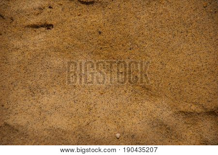 Sand Beach Texture Background