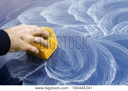 Male hand applies polishing paste on car paint with sponge.