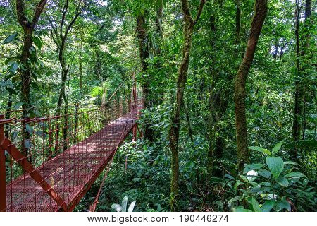 Wide angle view of red hanging bridge in the Rainforest of Monteverde