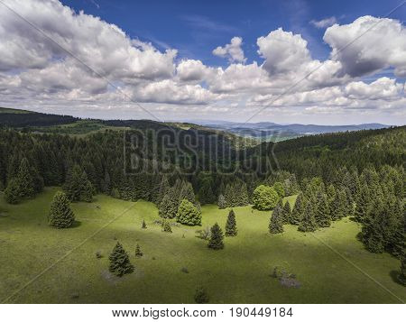 Aerial View Of The Summer Time In Mountains Near Czarna Gora Mountain In Poland. Pine Tree Forest An