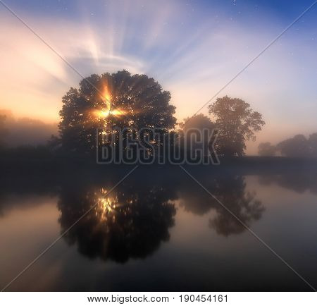 Night scene. Moonset over lake. Bright moon shines through tree at lake. Night nature background.