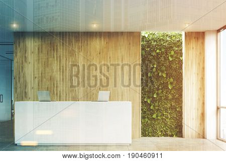 Front view of a white reception desk with two laptops standing on it in front of a wooden office wall. There is a grass wall seen through a wall opening. 3d rendering mock up toned image