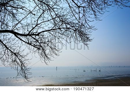 Goro Port View.po Delta Wetlands Landmark, Italy