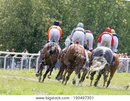 STOCKHOLM SWEDEN - JUNE 06 2017: Rear view of jockeys riding race horses in a curve mud and grass squirting at Nationaldags Galoppen at Gardet. June 6 2017 in Stockholm Sweden
