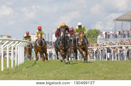 STOCKHOLM SWEDEN - JUNE 06 2017: Tough fight between many jockeys riding arabian race horses at Nationaldags Galoppen at Gardet. June 6 2017 in Stockholm Sweden