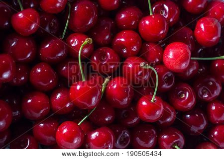 черешня, куча, ягода, фрукт, красота, лето, сад