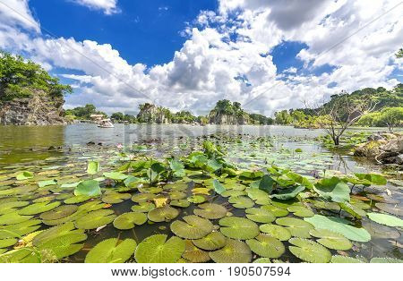 Landscape ecotourism with a large lotus pond lake attract tourists to resorts on weekends