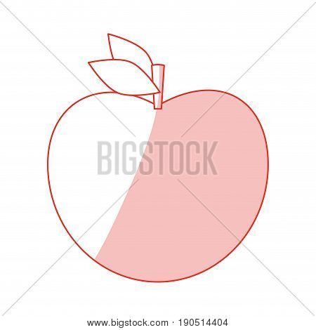 Flat line monocromatic apple over white background vector illustration