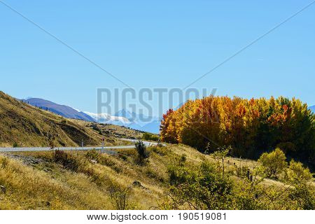 Scenery of Mount Cook /Aoraki road along Lake Pukaki Mackenzie District Canterbury region South Island of New Zealand