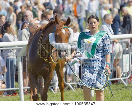 STOCKHOLM SWEDEN - JUNE 06 2017: Beautiful woman leading a gallop arabian race horse audience in the background at Nationaldags Galoppen at Gardet. June 6 2017 in Stockholm Sweden