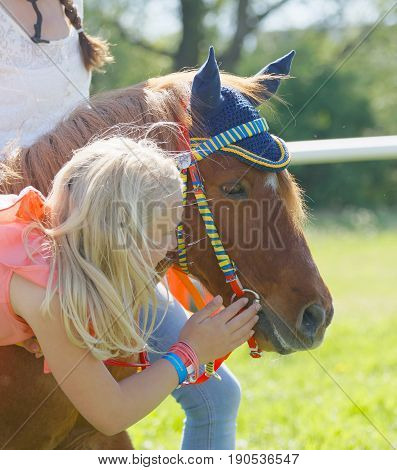 STOCKHOLM SWEDEN - JUNE 06 2017: Young girl strokes a cute pony gallop race horses on the muffle at Nationaldags Galoppen at Gardet. June 6 2017 in Stockholm Sweden