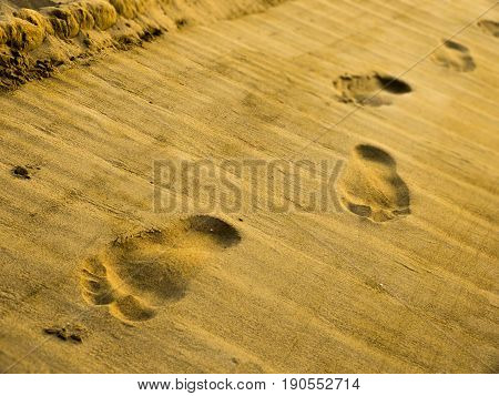 Footprints in the sand in the sunset