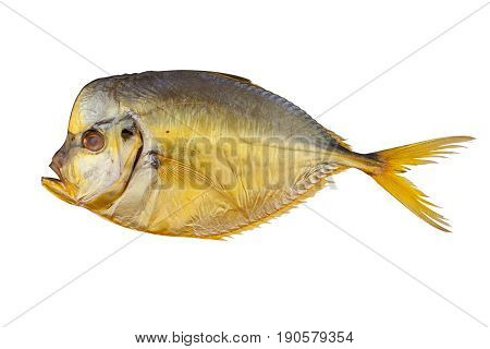 Hot Smoked Moonfish Fish  On White