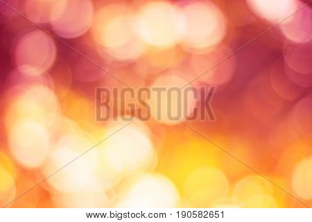 Color Tone Blurred Nature Background. Light And The Sky To Make It Shone Through The Leaves. Pastel