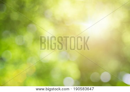 Blurred Nature Background.backdrop With Color And Bright Sun Light. Summer Holidays Concept.bokeh Ba