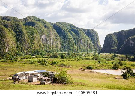A landscape of the mogotes at Vinales in Cuba a Unesco Heritage Site