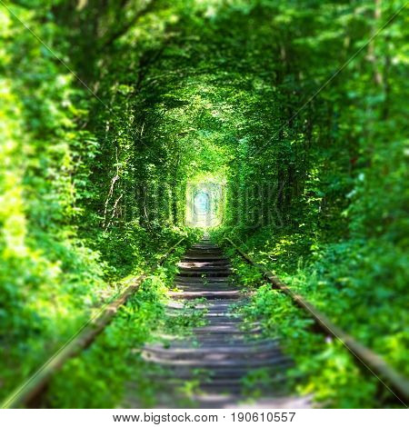Famous 'Tunnel of Love' landmark in Klevan, Rivno Region, Ukraine - railway track in a deep forest with green trees and grass
