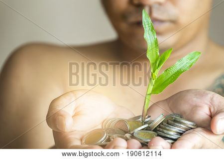 Money growing and plant growth in man hand concept.