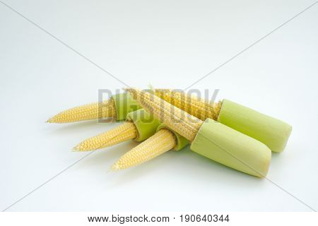 Isolated baby corn with green stem on white background