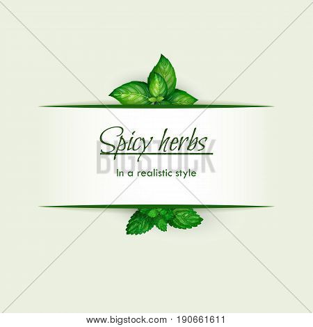 Spicy Herbs In A Realistic Style, Frame