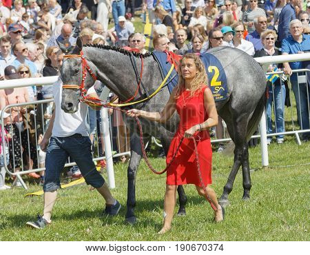 STOCKHOLM SWEDEN - JUNE 06 2017: Woman in red dress leading a gallop arabian race horse in the vault at Nationaldags Galoppen at Gardet. June 6 2017 in Stockholm Sweden