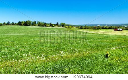 Harversting cattle feed on a hillside near Sussex