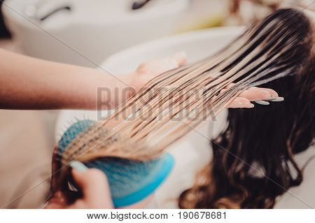 Stylist Brushing Woman Hair In Salon Pool