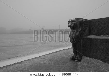 Foggy evening and Grifon in St. Petersburg