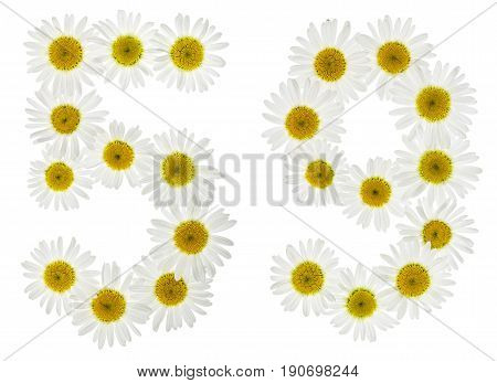 Arabic Numeral 59, Fifty Nine, From White Flowers Of Chamomile, Isolated On White Background
