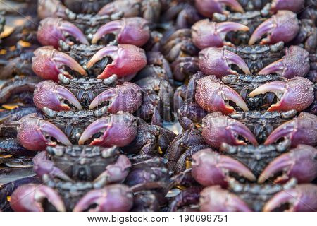Salted Crab At Thai Street Food Market