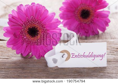 Label With German Text Entschuldigung Means Excuse. Pink Spring Gerbera Blossom. Vintage, Rutic Or Aged Wooden Background. Card For Spring Greetings.