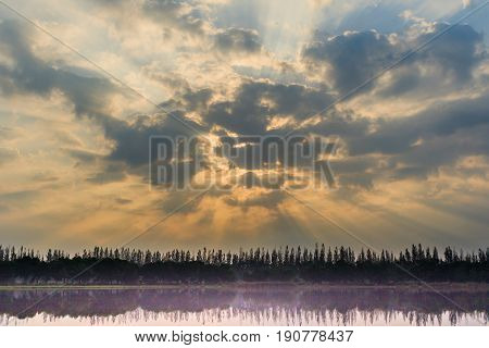 water and sky is beautiful in summer day at swamp