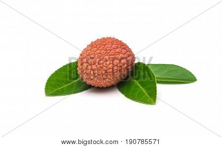 Lychees exotic fruits on a white background