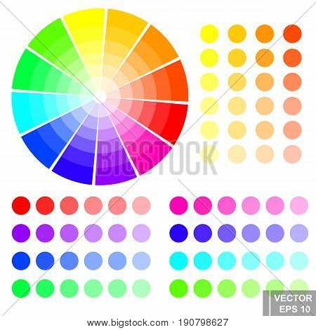 Color Circle. Palette. Creation. Isolated On White Background.
