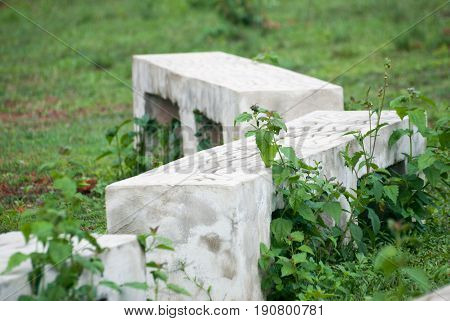Rock chair among the fields to see nature.
