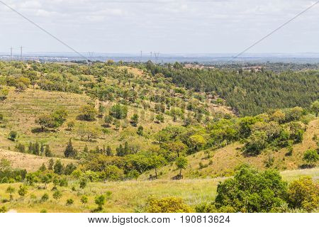 Farm In Santiago Do Cacem