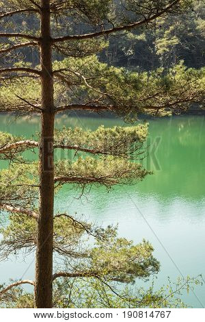 Beautiful Vibrant Landscape Image Of Old Clay Pit Quarry Lake With Unusual Colored Green Water