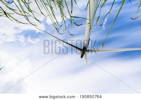 Day view wind power turbines generate electricity.