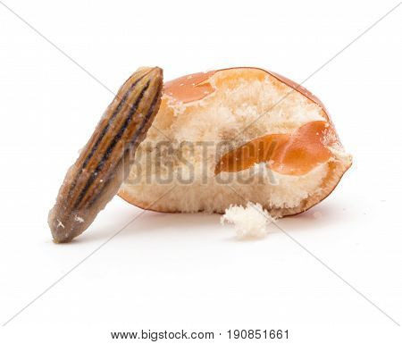 Eleagnus on a white background . A photo