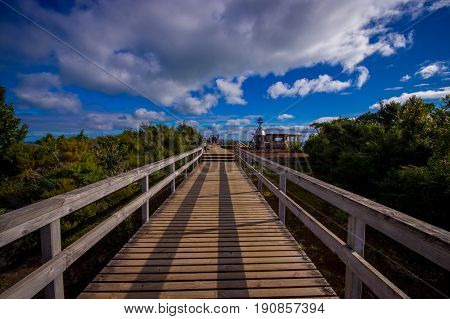People enjoying the beautiful view from top in the mountain in Rangitoto Island wlaking in wooden paths, New Zealand in a sunny day.