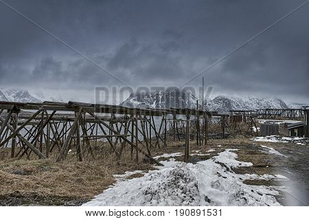 Wooden Poles Constructions Made for Cod Drying Process at Lofoten Islands in Norway. Horizontal Image Orientation