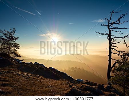 Autumn Melancholic Morning In Rocky Park. View Into Long Deep Valley Full Of Heavy Colorful Mist