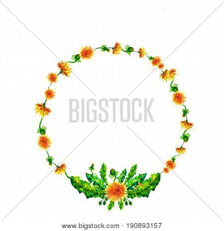 Watercolor floral spring round wreath with yellow dandelions, Natural hand painted floral watercolor flower illustration isolated on white background