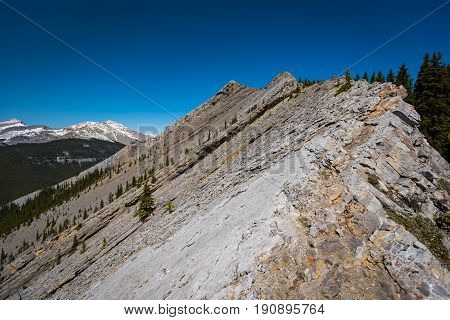 Rocky Mountain Views